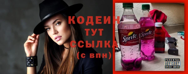 индика Беломорск