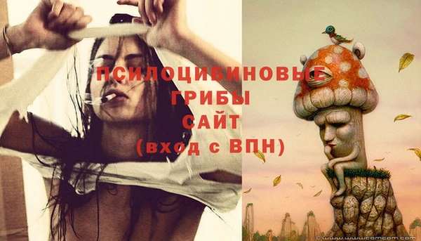 индика Беломорск