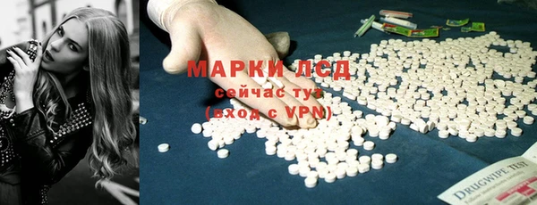 индика Беломорск