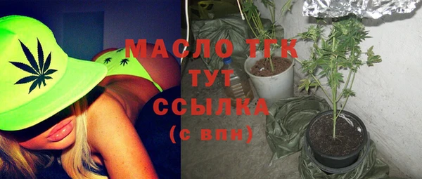 индика Беломорск